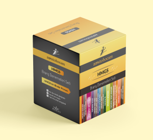 AristoHocam HMGS - Branş Denemeleri Seti